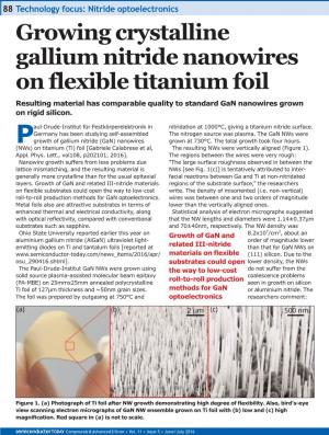 Growing Crystalline Gallium Nitride Nanowires on Flexible Titanium Foil Resulting Material Has Comparable Quality to Standard Gan Nanowires Grown on Rigid Silicon
