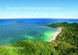 The Best Dominican Excursions Welcome!