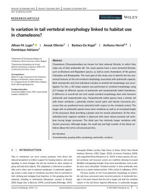 Is Variation in Tail Vertebral Morphology Linked to Habitat Use in Chameleons?