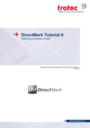 Directmark Tutorial 6 Marking Processes of Steel