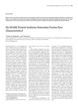 Do SNARE Protein Isoforms Determine Fusion Pore Characteristics?