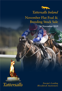 November Flat Foal & Breeding Stock Sale