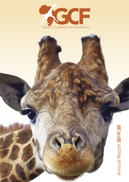 Annual Report 2019/20 Note from the GCF Directors: 2019 Marks the Tenth Anniversary of the Giraffe in the Wild Throughout Africa