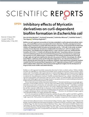 Inhibitory Effects of Myricetin Derivatives on Curli-Dependent