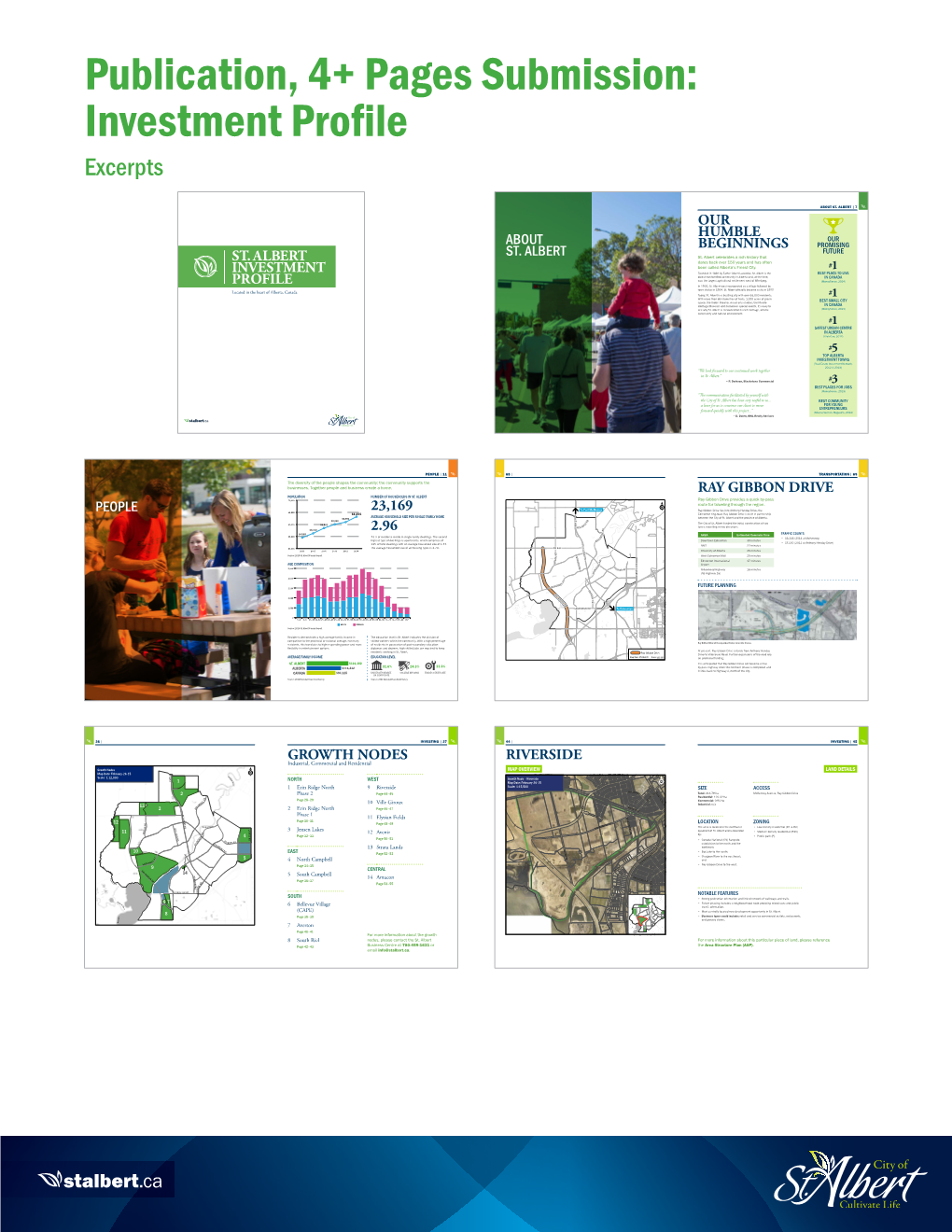 Publication, 4+ Pages Submission: Investment Profile Excerpts