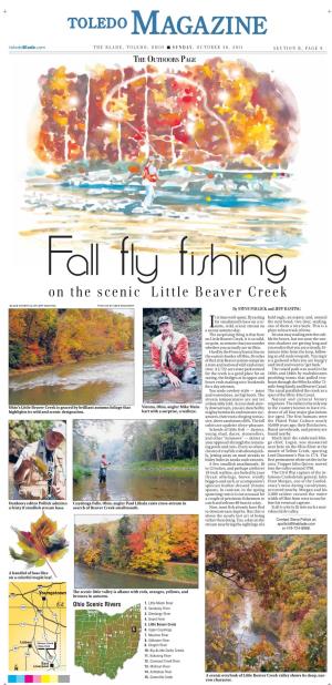Toledo-Magazine-Fall-Fly-Fishing.Pdf