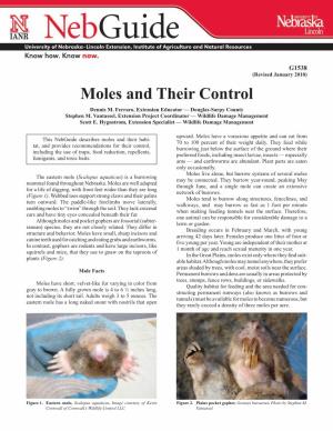 Moles and Their Control Dennis M