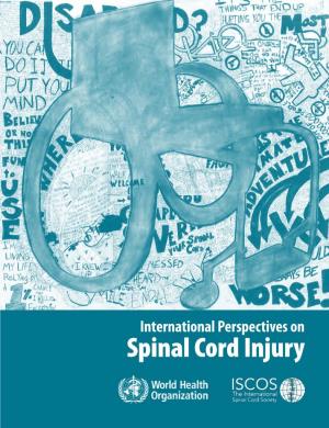 Spinal Cord Injury Cord Spinal on Perspectives International