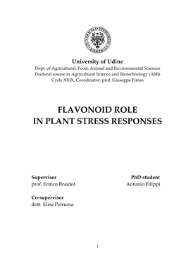 Flavonoids Are the Most Powerful Bioactive Plants Metabolites, Able to Interact with Both Plant and Animal Metabolism