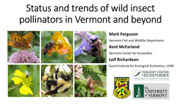 Status and Trends of Wild Insect Pollinators in Vermont and Beyond