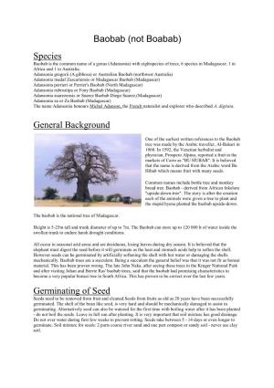 Baobab (Not Boabab) Species General Background Germinating