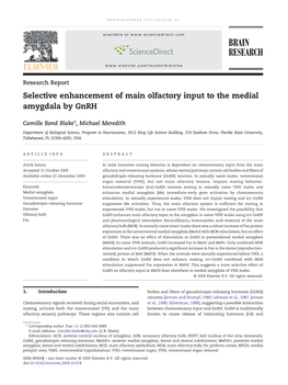 Selective Enhancement of Main Olfactory Input to the Medial Amygdala by Gnrh