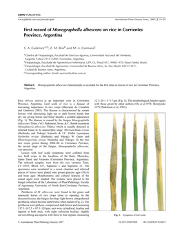 First Record of Monographella Albescens on Rice in Corrientes Province, Argentina