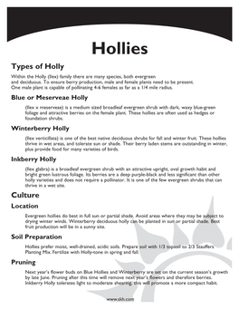 Hollies Types of Holly Within the Holly (Ilex) Family There Are Many Species, Both Evergreen and Deciduous