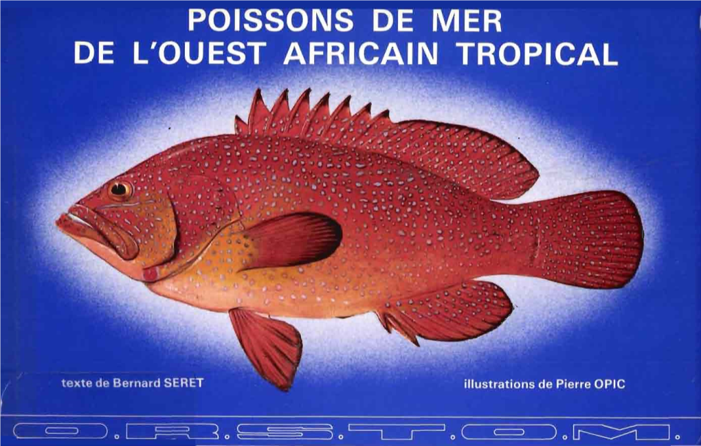 Poissons De Mer De L'ouest Africain Tropical