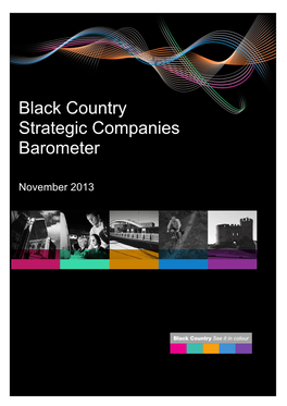Black Country Strategic Companies Barometer