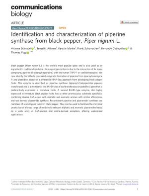 Identification and Characterization of Piperine Synthase from Black
