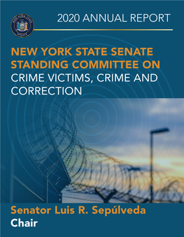 2020 Crime Victims, Crime and Correction Committee Annual Report