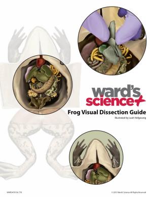 Frog Visual Dissection Guide Illustrated by Leah Hofgesang