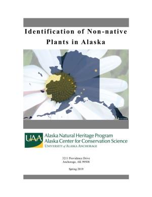Identification of Non-Native Plants in Alaska