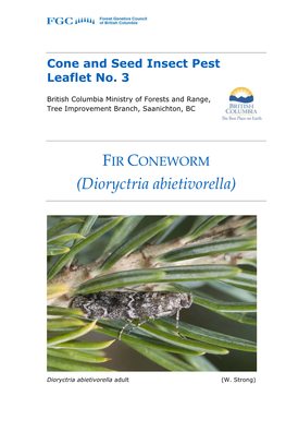 FIR CONEWORM (Dioryctria Abietivorella)