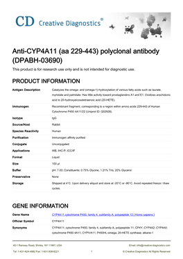 Anti-CYP4A11 (Aa 229-443) Polyclonal Antibody (DPABH-03690) This Product Is for Research Use Only and Is Not Intended for Diagnostic Use