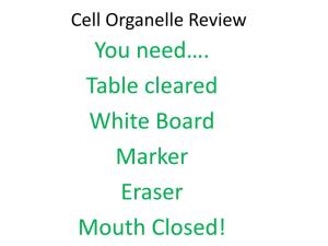 Cell Organelle Review You Need…