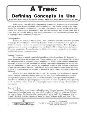 A Tree: Defining Concepts in Use by Dr