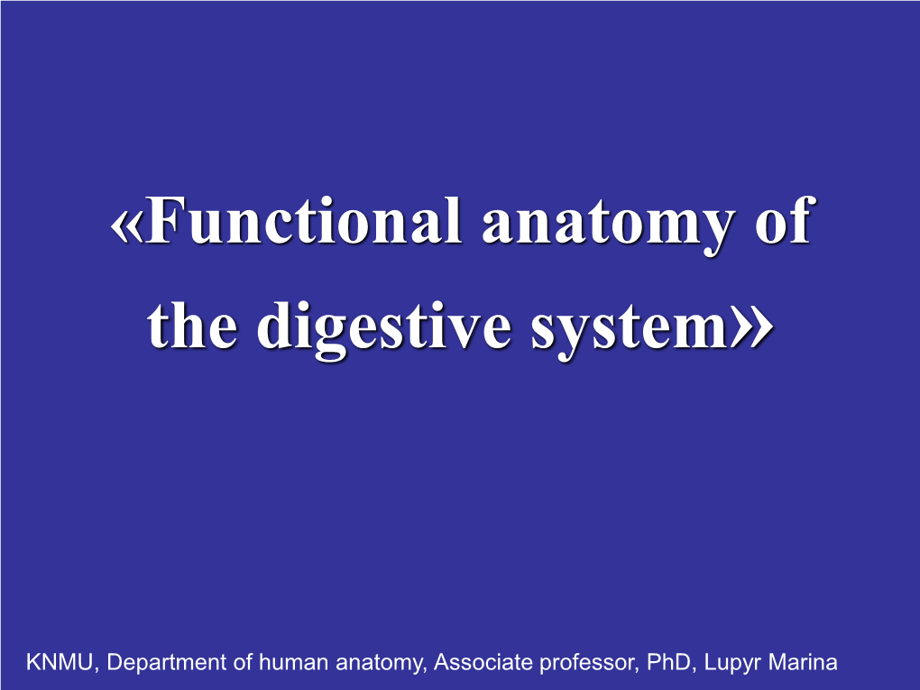 Functional Anatomy of the Digestive System»