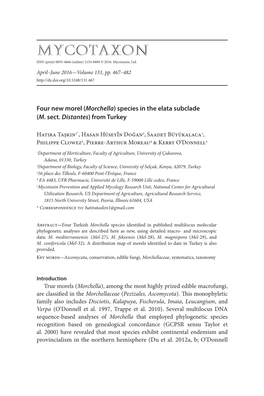 (&lt;I&gt;Morchella&lt;/I&gt;) Species in the Elata Subclade