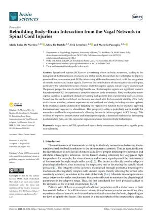 Rebuilding Body–Brain Interaction from the Vagal Network in Spinal Cord Injuries