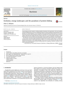 Evolution, Energy Landscapes and the Paradoxes of Protein Folding