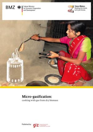 Micro-Gasification: Cooking with Gas from Dry Biomass