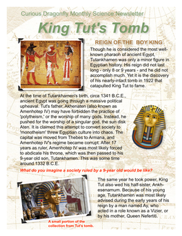King Tut's Tomb REIGN of the BOY KING Though He Is Considered the Most Well- Known Pharaoh of Ancient Egypt, Tutankhamen Was Only a Minor Figure in Egyptian History