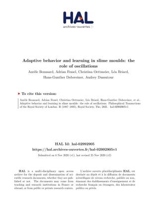 Adaptive Behavior and Learning in Slime Moulds: the Role of Oscillations