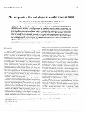 Chromoplasts - the Last Stages in Plastid Development