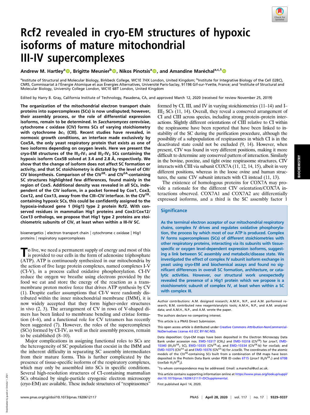 Rcf2 Revealed in Cryo-EM Structures of Hypoxic Isoforms of Mature Mitochondrial III-IV Supercomplexes