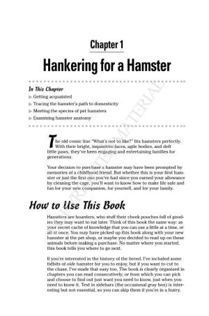 Hankering for a Hamster