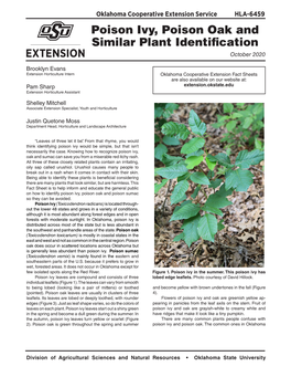 Poison Ivy, Poison Oak and Similar Plant Identification October 2020