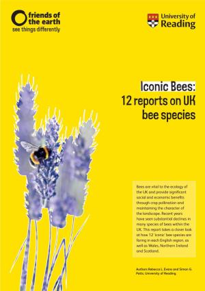Iconic Bees: 12 Reports on UK Bee Species