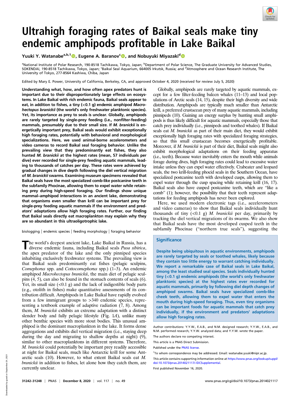 Ultrahigh Foraging Rates of Baikal Seals Make Tiny Endemic Amphipods Profitable in Lake Baikal