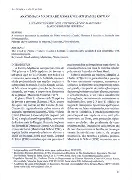 Anatomia Da Madeira De Plinia Rivularis (Camb.) Rotmani