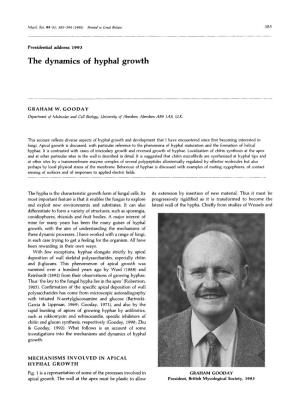 The Dynamics of Hyphal Growth