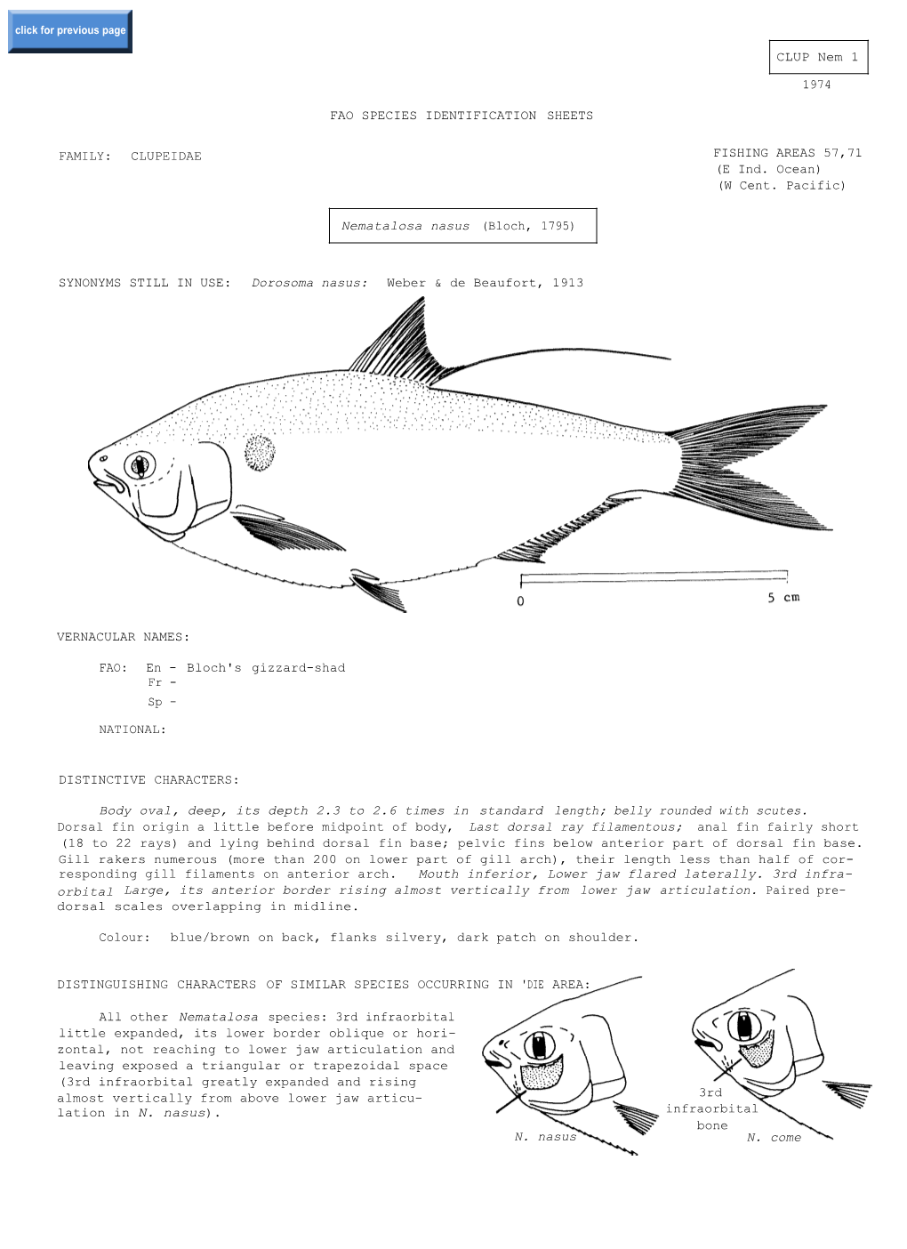 FAMILY: CLUPEIDAE FISHING AREAS 57,71 (E Ind. Ocean) (W Cent. Pacific) SYNONYMS STILL in USE: Dorosoma Nasus: Weber & De