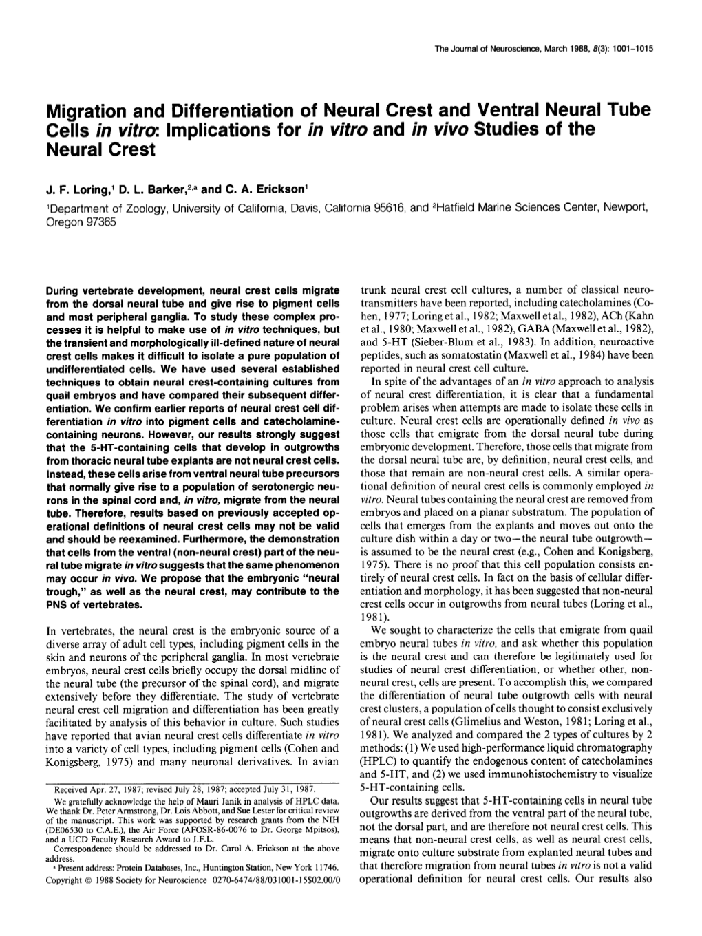 Migration and Differentiation of Neural Crest and Ventral Neural Tube Cells in Vitro: Implications for in Vitro and in Vivo Studies of the Neural Crest