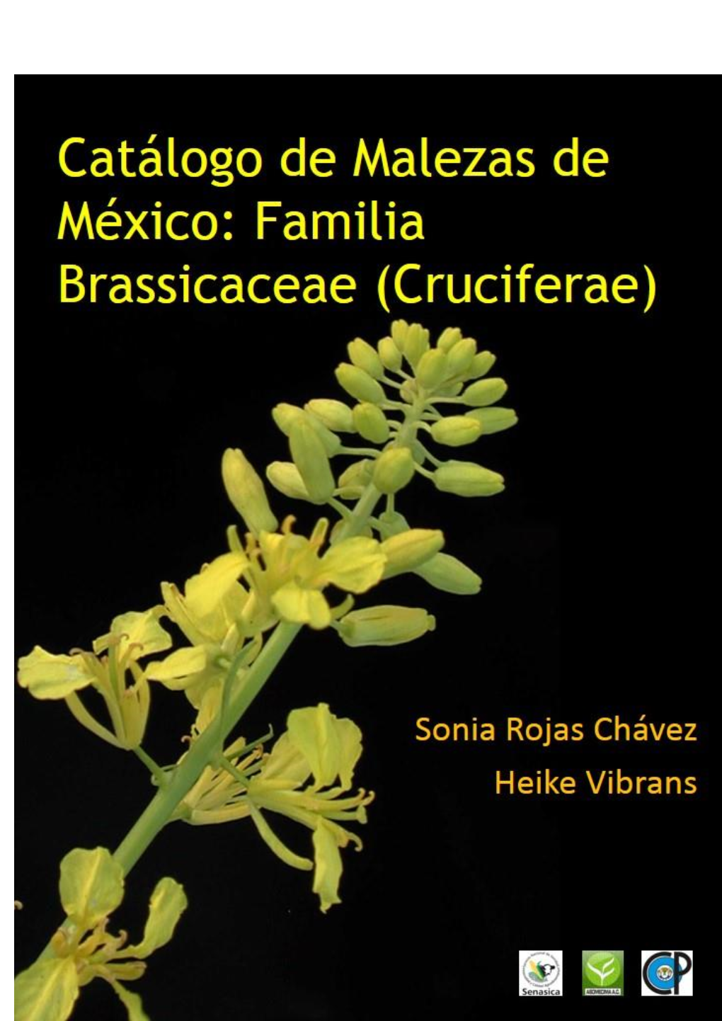 Catálogo De Malezas De México: Familia Brassicaceae (Cruciferae)