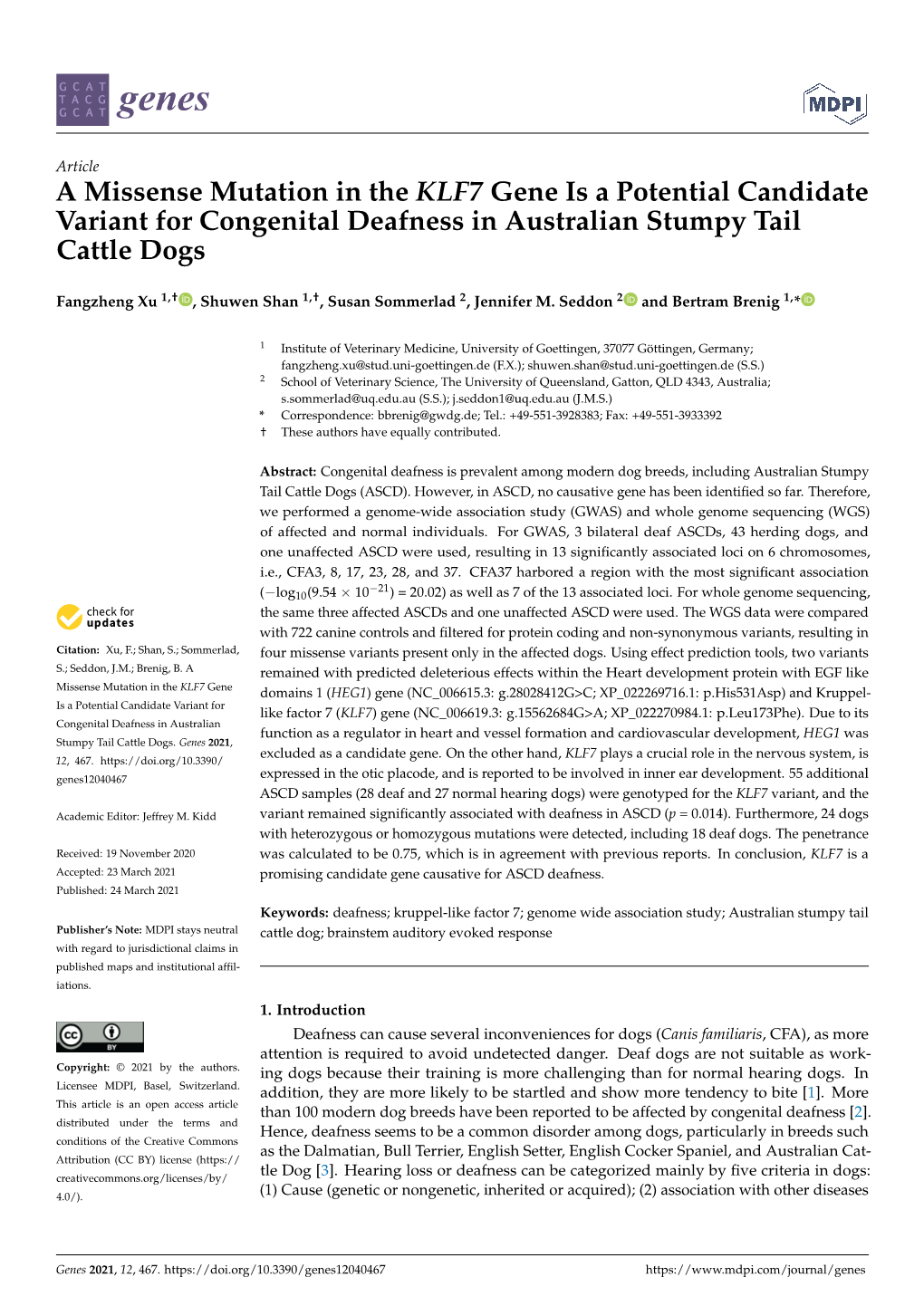 A Missense Mutation in the KLF7 Gene Is a Potential Candidate Variant for Congenital Deafness in Australian Stumpy Tail Cattle Dogs