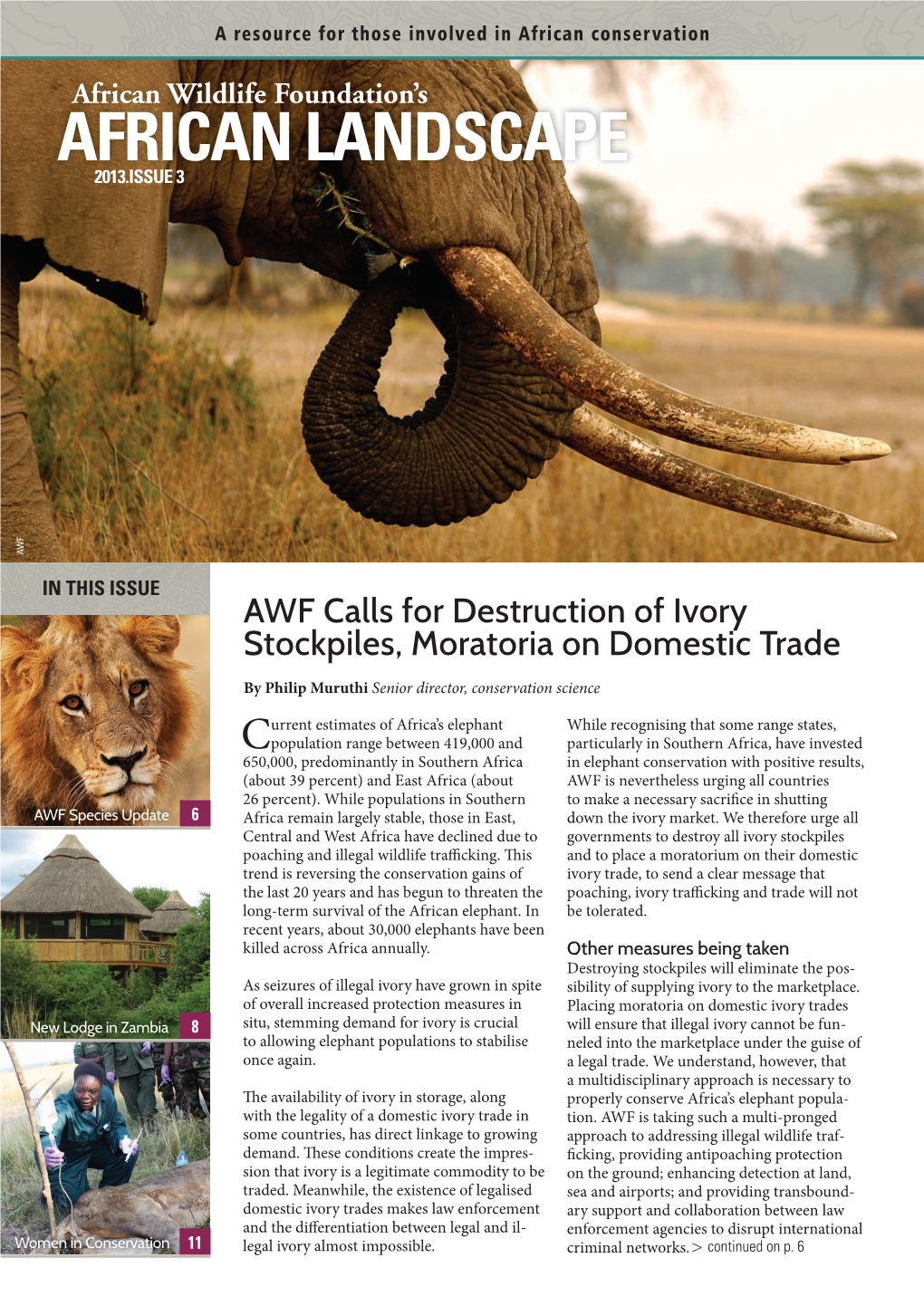 African Landscape 2013.Issue 3 Awf