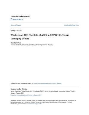 The Role of ACE2 in COVID-19'S Tissue Damaging Effects