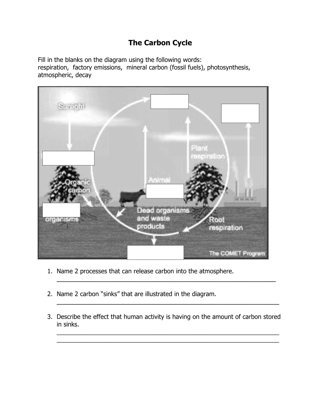 The Carbon Cycle